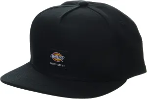 Dickies mens Skateboarding Mid Pro Cap