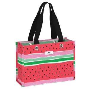 SCOUT Tiny Package Gift Bag, Small Reusable Gift Bag Measuring 11" x 8" x 4"