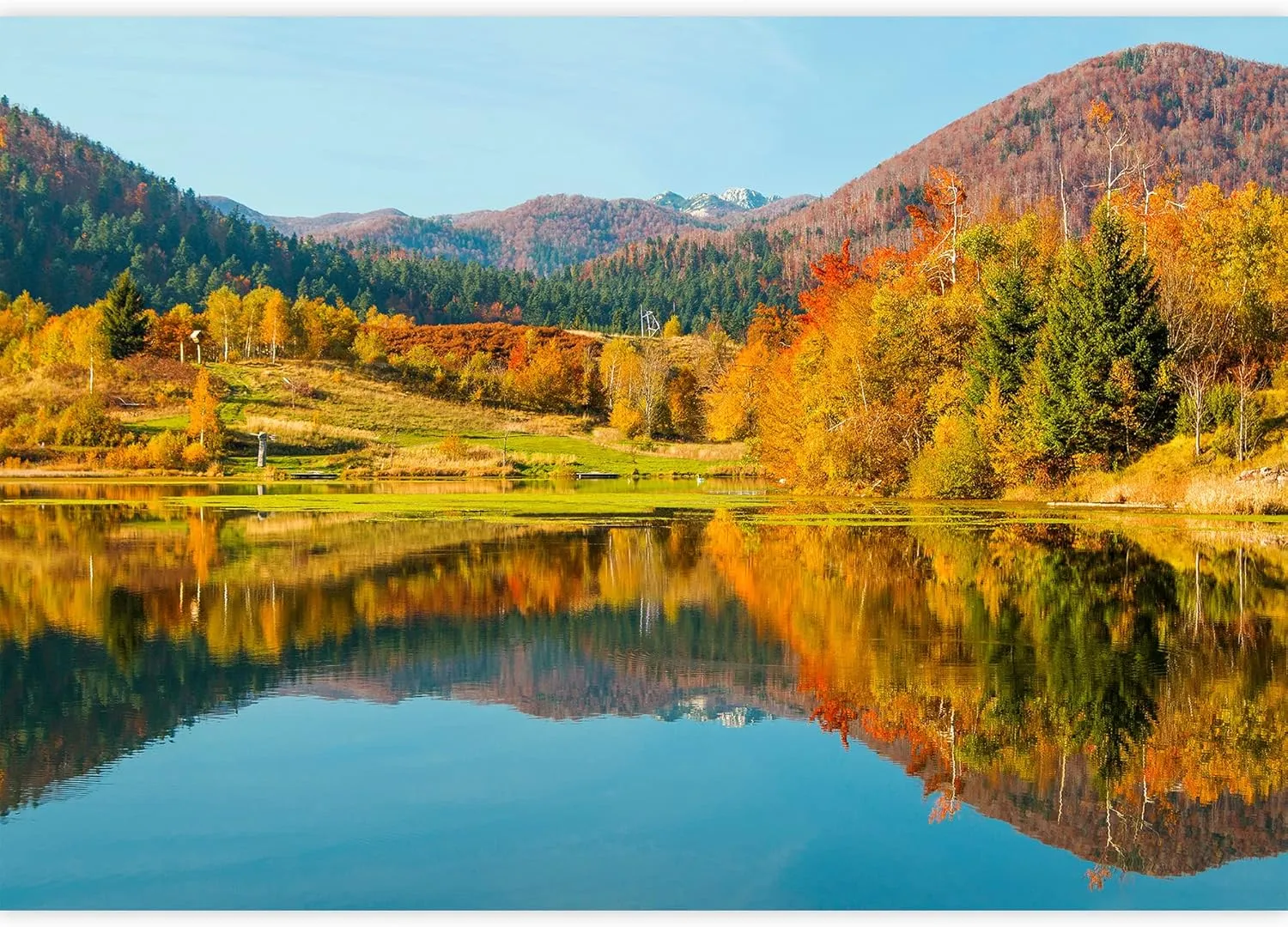wall26 Removable Wall Sticker/Wall Mural Autumn Fall Forest Tree Lake Mountain Nature Wilderness Photography Realism Rustic Landscape Global Zen for Living Room, Bedroom, Office - 100x144 inches