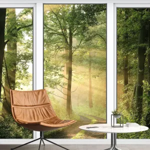 wall26 Removable Wall Sticker/Wall Mural Sunshine Summer Mountain Forest Nature Wilderness Photography Realism Landscape Rustic Window Door for Living Room, Bedroom, Office - 100x144 inches