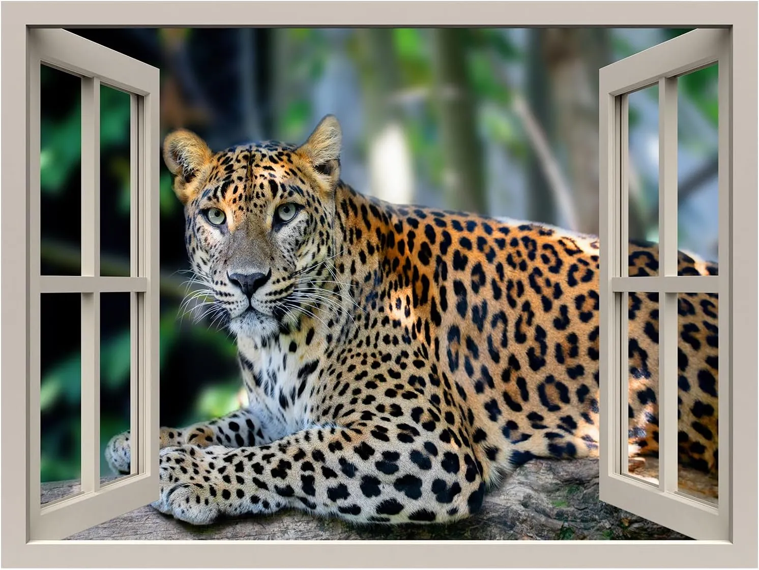 wall26 Removable Wall Sticker/Wall Mural Window View Tropical Jungle African Spotted Leopard Animals Nature Photography Wildlife Wilderness Portrait for Living Room, Bedroom, Office - 24"x32"